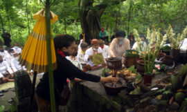 Ritual Sesaji Mahesa Lawung Tetap Berlangsung dengan Mengurangi Jumlah Peserta, untuk Mematuhi Protokol Covid 19