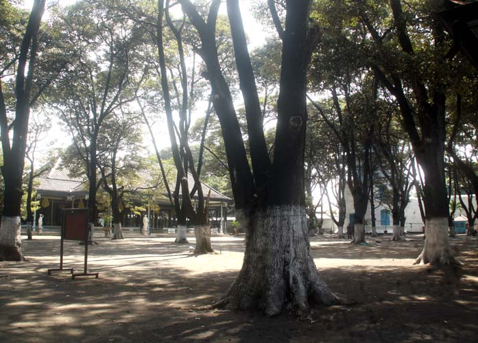 You are currently viewing “Nyebar Kabecikan” di Taman Maha Bodhi, Lompatan Jauh yang Tidak Pernah Terprediksi (seri 3-bersambung)