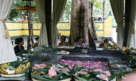 Hutan Jati Danalaya, Wonogiri, Cadangan Kayu untuk Kraton Mataram Surakarta (seri 1 – bersambung)