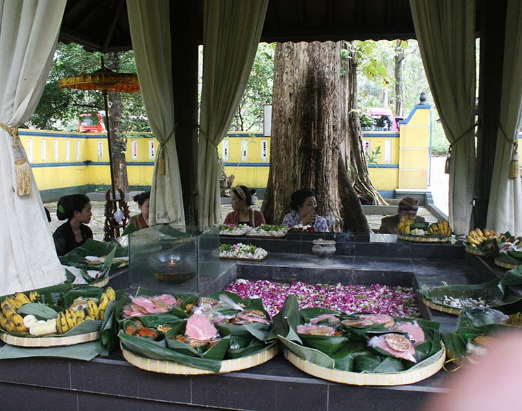 Read more about the article Hutan Jati Danalaya, Wonogiri, Cadangan Kayu untuk Kraton Mataram Surakarta (seri 1 – bersambung)