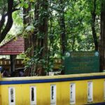 Hutan Jati Danalaya, Wonogiri, Cadangan Kayu untuk Kraton Mataram Surakarta (seri 3 – habis)