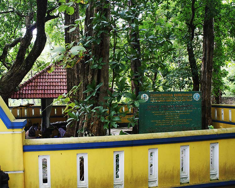 You are currently viewing Hutan Jati Danalaya, Wonogiri, Cadangan Kayu untuk Kraton Mataram Surakarta (seri 3 – habis)