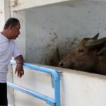 “Kegiatan Pemanis” Wisuda Kerabat Sudah Lewat, Kini Bersiap Menggelar Kirab Pusaka