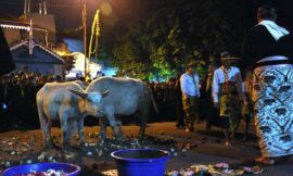 Walau Sudah Ada Perubahan, Masih Ada “Pertarungan” Saat Pelepasan Kirab Pusaka