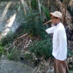 Makam Adipati Tirtakusuma Tinggal Semak-Belukar, Dicari Ahli Waris Trah (seri 2 -bersambung)