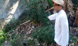 Makam Adipati Tirtakusuma Tinggal Semak-Belukar, Dicari Ahli Waris Trah (seri 2 -bersambung)